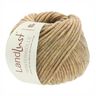 LANDLUST Winterwolle, 50g | Lana Grossa – beige,  thumbnail number 1